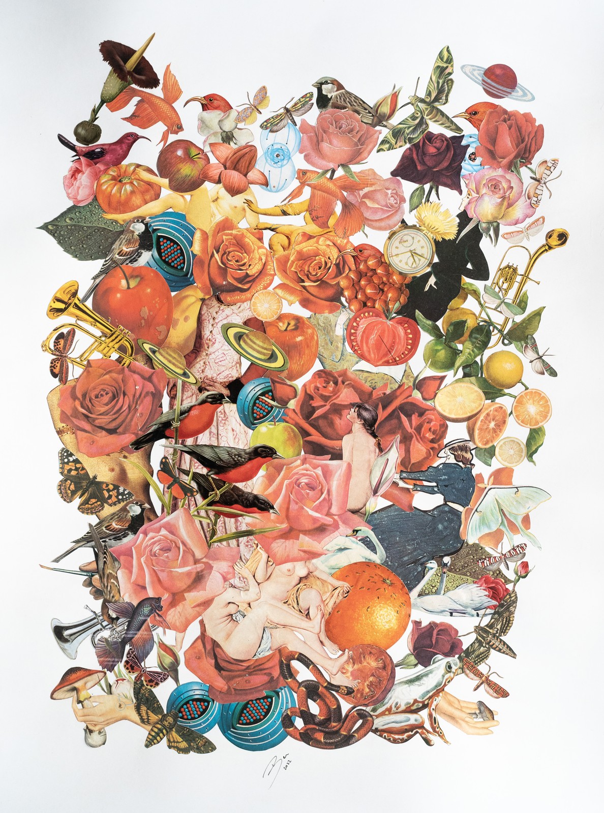 Formas y rosas