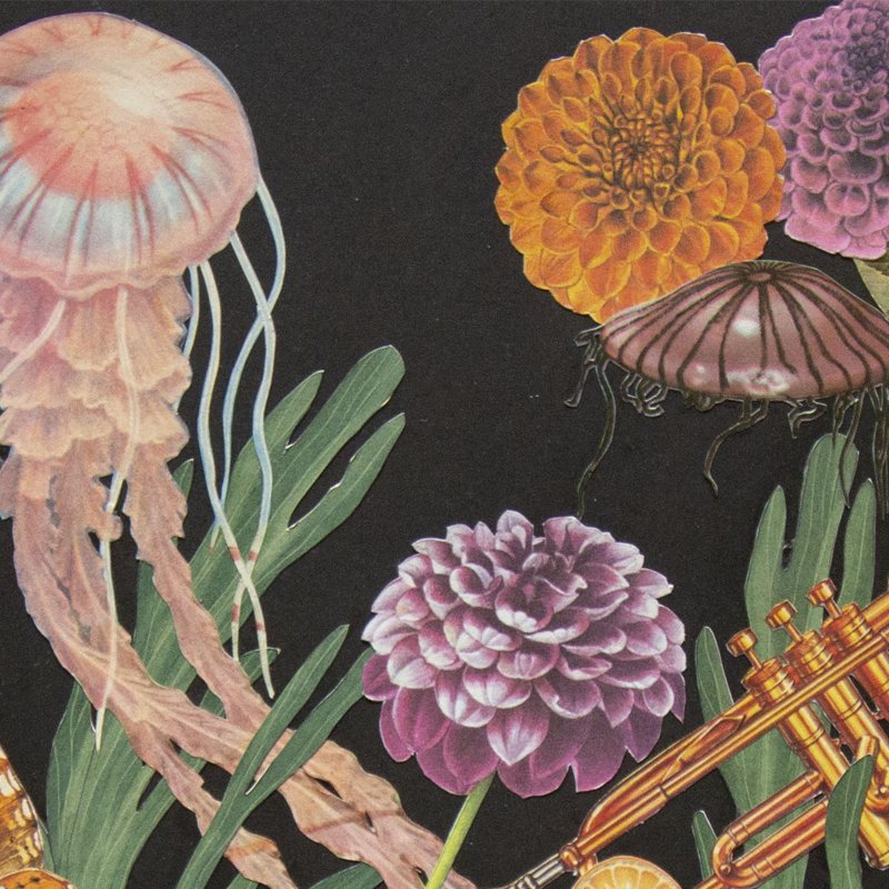 Serie Tropicalia